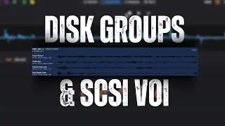 S-Convert - Disk Groups & SCSI VOl