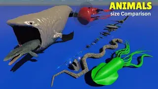 Ultimate 150+ Animals SIZE COMPARIOSN 2024 🐷🐽🦌