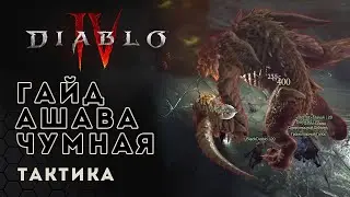 Diablo 4. Гайд тактика босса Ашава Чумная | Ashava the Pestilent guide