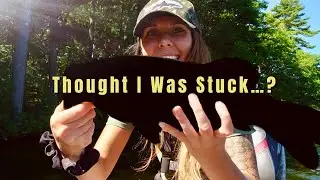 BIG BASS | thought I was stuck