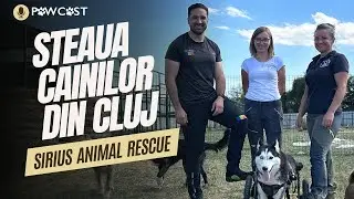 Sirius, asociația strălucitoare de protecția animalelor din Cluj | centrul de adopții