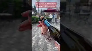 Tsetsi Open a Bottle of Champaign