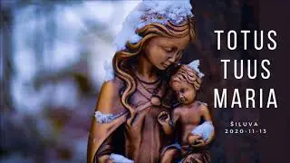 Totus Tuus Maria (Šiluva)