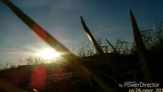 Раслабтись! У меня сегодня ДР завтра иди сегодня выложу новое видео!