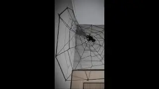 Декор на Хэллоуин - паутина 🕸️ 