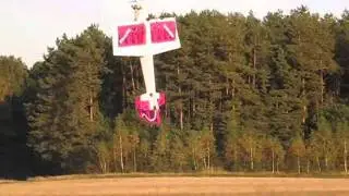 RC Majestic 3D. Pilot Marcin --  Radzyń Podl. Gręzówka 25.09.2011r.