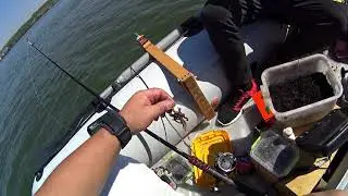 Секрет Ловли СОМА....Лайфхак для Рыбалки....