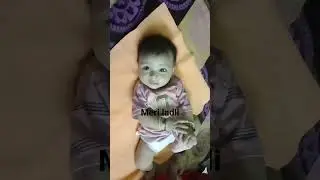 meri rani bittiya