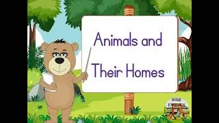 Vocabulary -  Animals and Their Homes