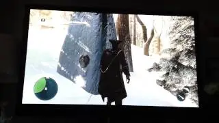Assassin's Creed III [Bug - Wolf stucked in a tree]