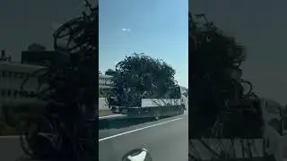 Возим санкционные авто и не только) 😅P/S видео от нашего агента из Японии🥷 89145854040 