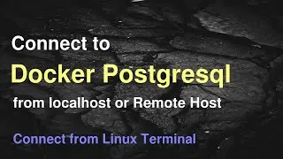 Connect to the Docker Postgresql Locally or Remotely