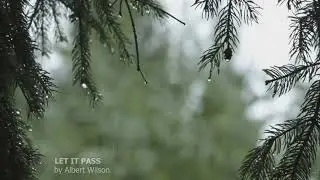 Albert Wilson - Let It Pass