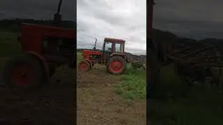 Нанял механизатора - сейчас  дело пойдёт!) #чеснок  #мтз