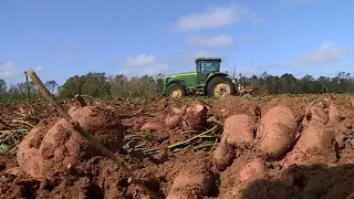2024 Farm of Distinction