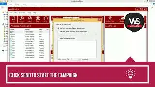 WSTOOL WHATSENDER | Send WhatsApp Messages in Bulk from PC [for FREE]