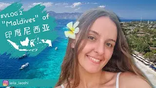 [巴厘岛 Vlog 2] Diving in Gili Trawangan | 潜水