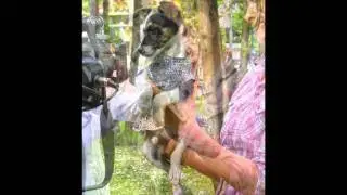Perdidos y encontrados