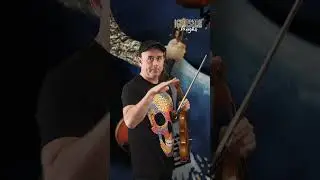 Viola Jokes 2 - the viola players revenge!