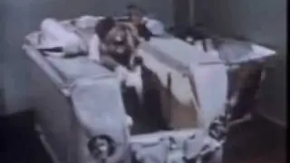 Laika