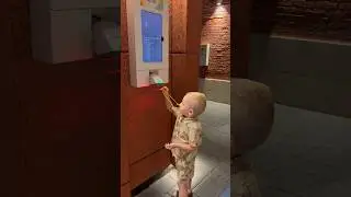 А вы это видели? 