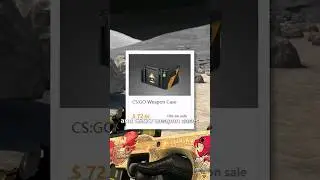 THIS CASE IS MORE EXPENSIVE THAN GLOVES