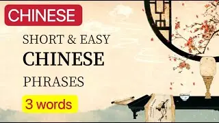 Easy Mandarin for Beginners ｜100 common Chinese phrases ｜Part 2