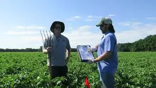 PreHarvest Sugar Sampling with Techmark