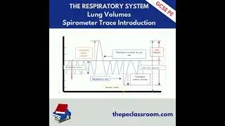 AQA GCSE PE Spirometer Trace Introduction