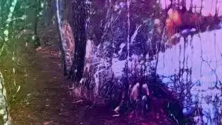 Professor Kaoss - Trippy Nature Walk (Walking DAWless Video)