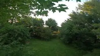 Backyard slow cruise