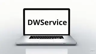 About DWService (www.dwservice.net)
