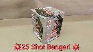 Dragons Hit Back 25 shot firework demo!