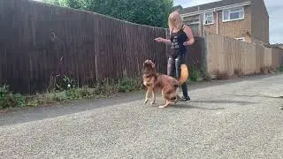Scout’s Tricks!