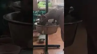 Пойман с поличным))