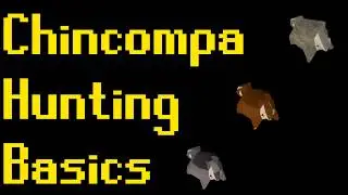 Basic Chinchompa Hunting Guide 2019 (OSRS)