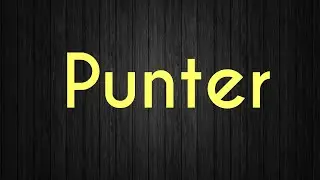 Punter Meaning
