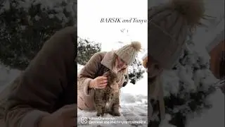 ✨Барсик и Таня ✨ Как приручить лесного кота?✨ 