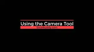 Using the Camera tool