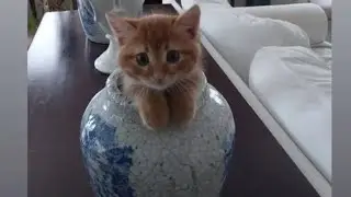 Gökberk Demirciden Yeni Bir Paylaşım Geldi!!!