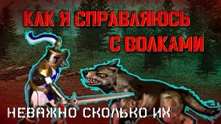 Что ему эти ваши волки? [HoMM3]