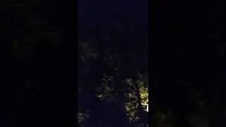 VID 20170629 225519577