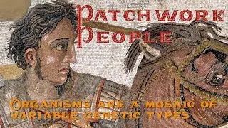 Patchwork People