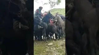 Бузкашак дар  Рашт Нуробод