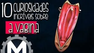 10 CURIOSIDADES SOBRE A VAGINA QUE VOCÊ NÃO SABIA