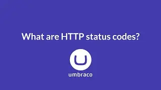 What are HTTP status codes?