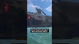 Lifepod 4: Reaper Leviathan Attack! Subnautica