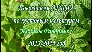 Новогодняя АКЦИЯ кустовых 23 24 ЯР