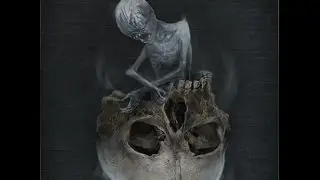 Bloodborne - Using the Messenger's Gift (rare item)