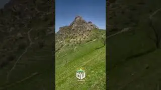 Мага акчаны кызыгы жок ☺️